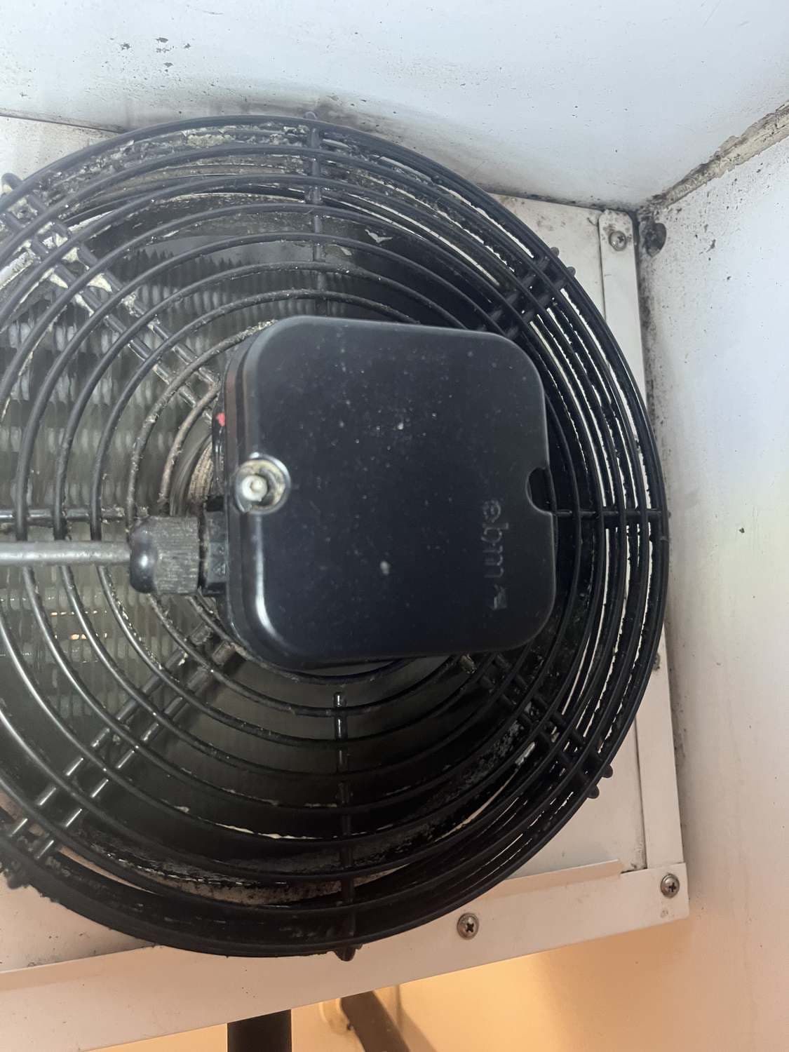 Dust, grease and mould on a chiller evaporator fan