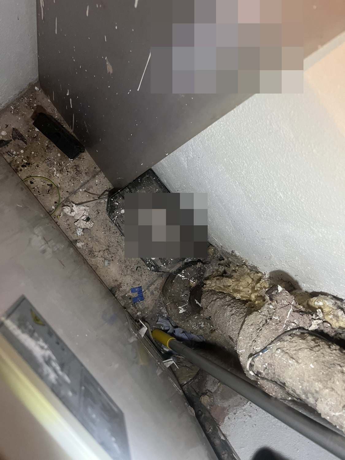 Poor maintenance, pest activity and cleaning